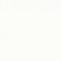 1111/Q Белый Столешница 3000*600*40 SLOTEX/Elga1