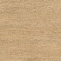 7120/Дуб Карпентер компакт-ламинат SolidCompact (без обработки) 4200*650*12мм (крафт черный) Е1